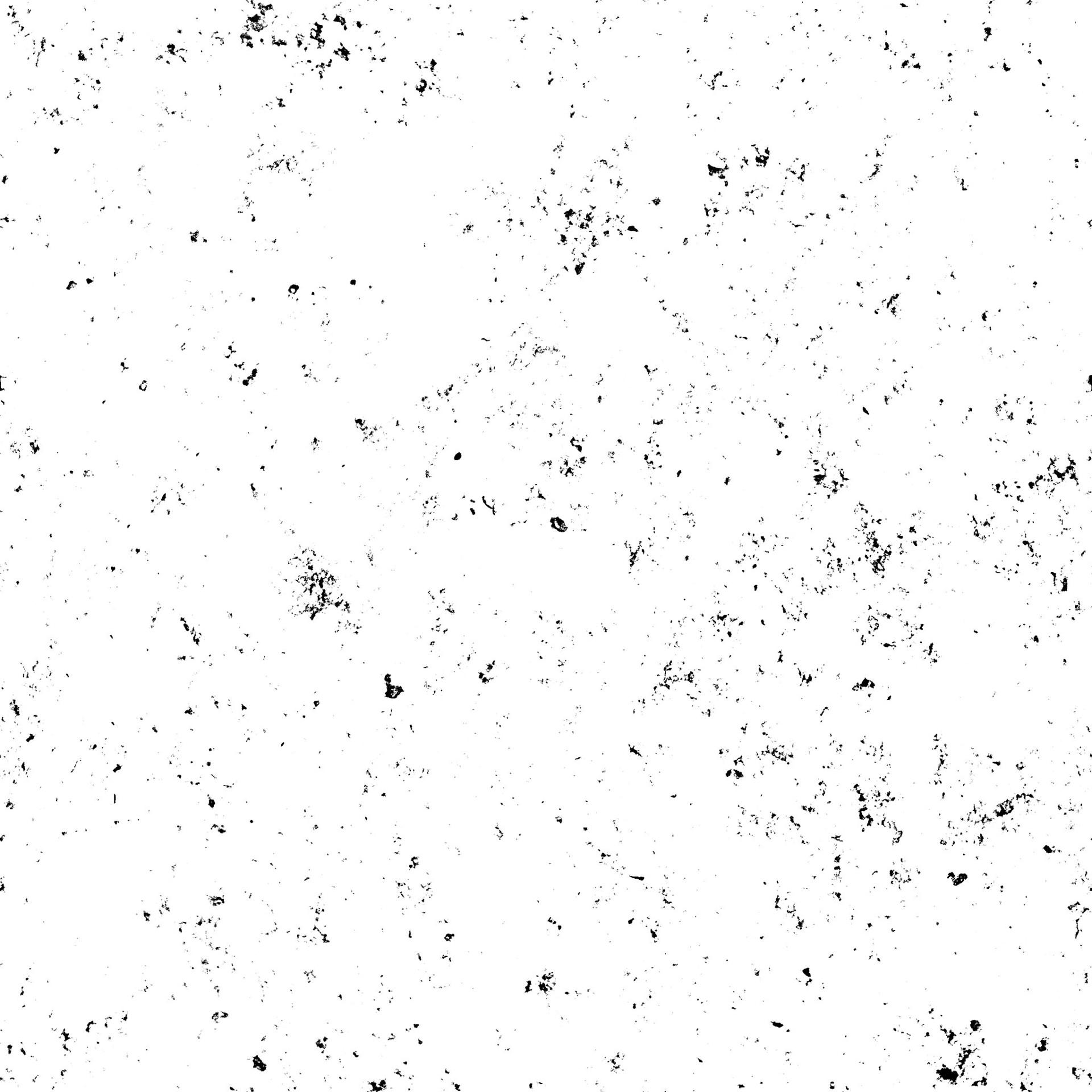 dvGSTK_037.jpg
