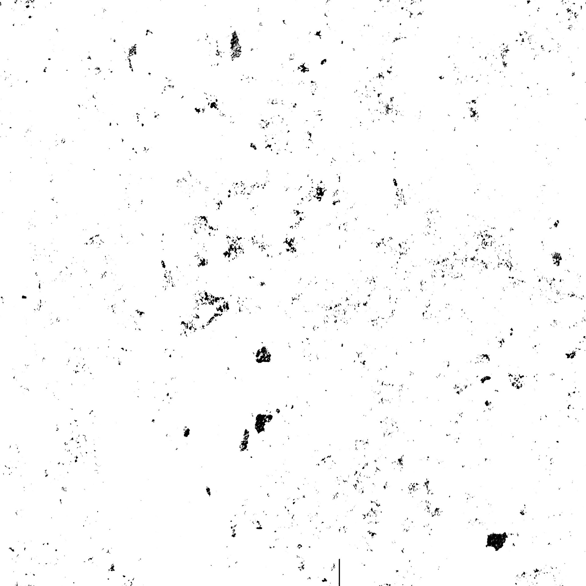 dvGSTK_164.jpg