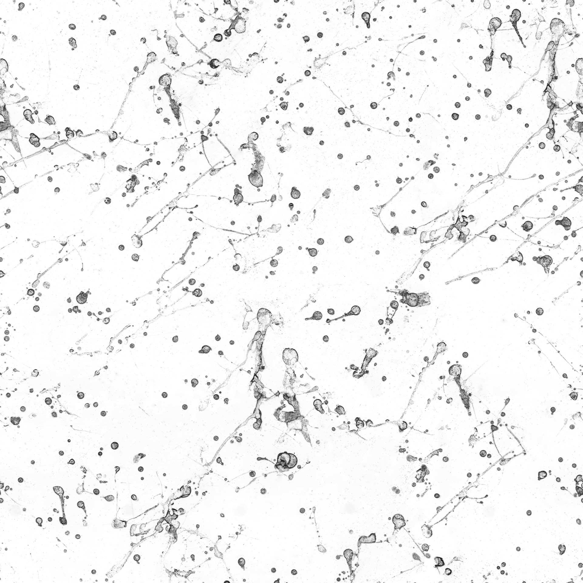 3DCollective_TexturePack01_Mask_0032_8K_Inv_ͼ.jpg