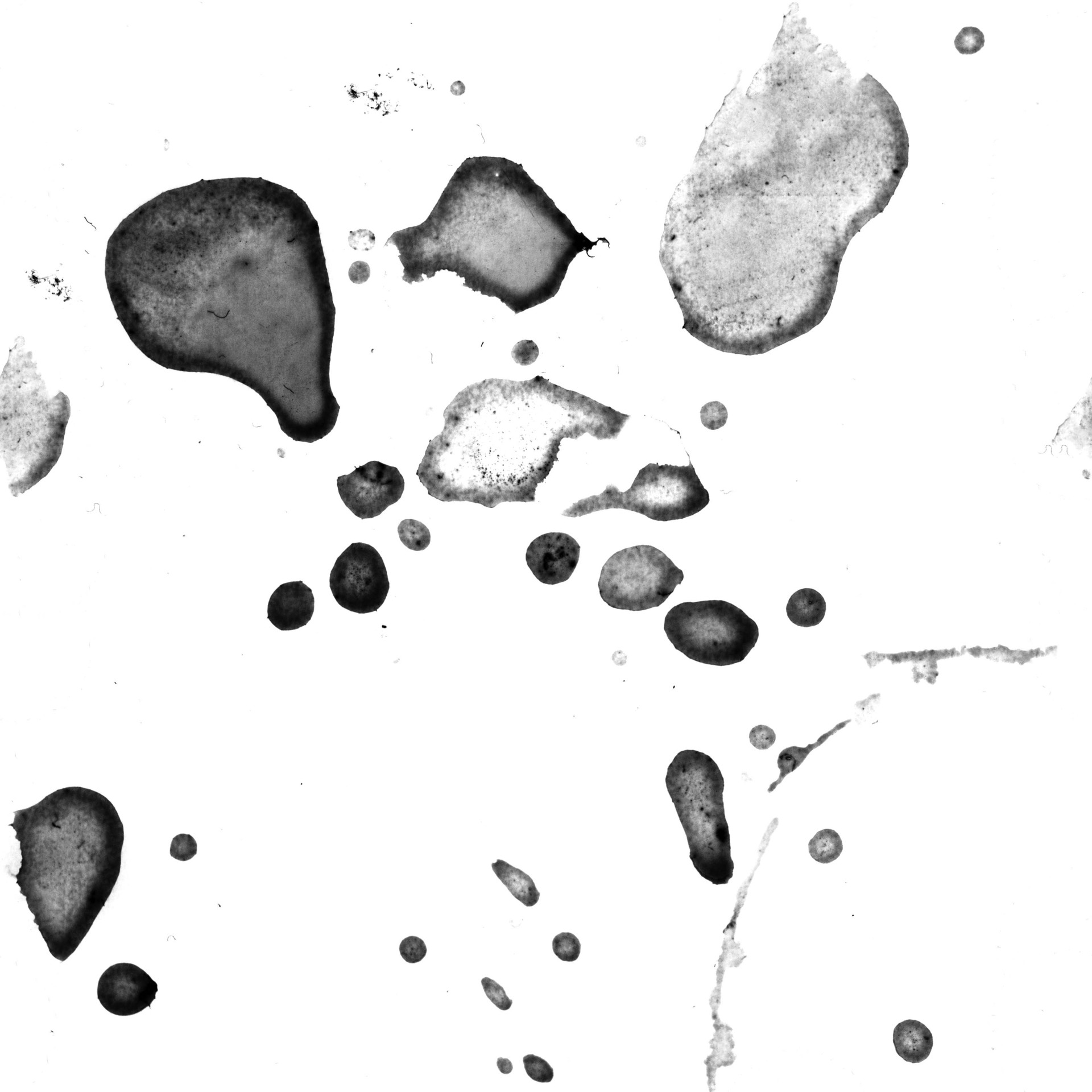 LIQUID_hard_04_base_tiled.jpg