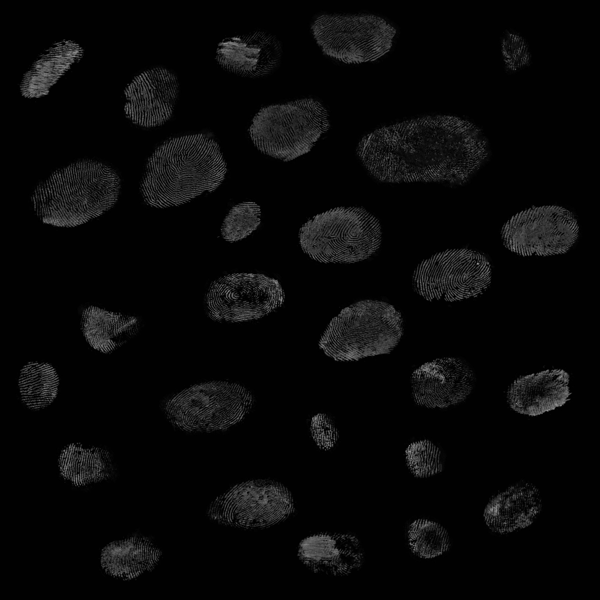 25_bonus_isolatedFingerprints.jpg