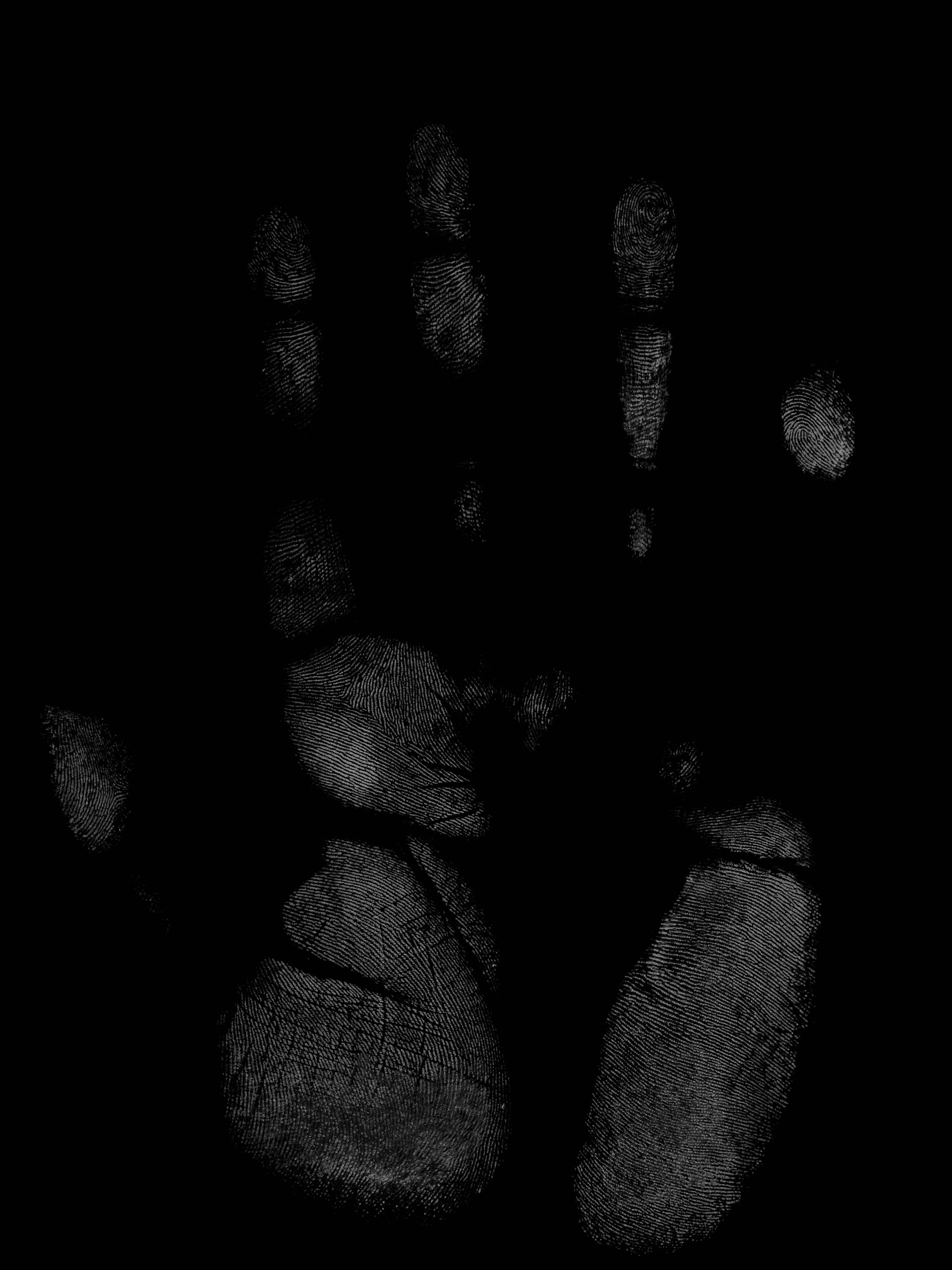 26_bonus_isolatedPalmprint.jpg
