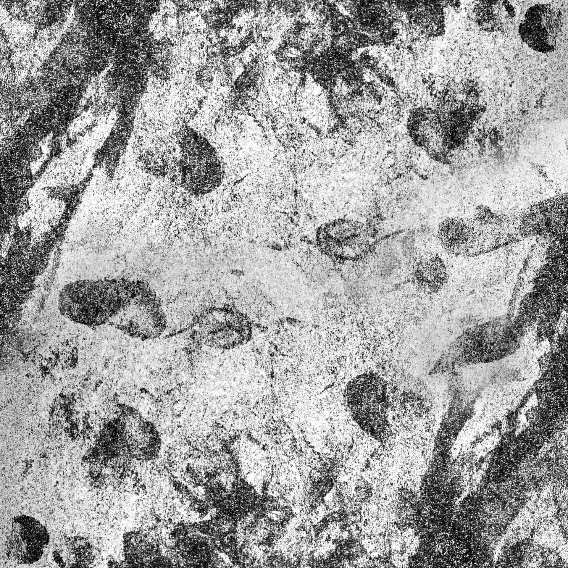 FINGERPRINT_hard_01_base.jpg