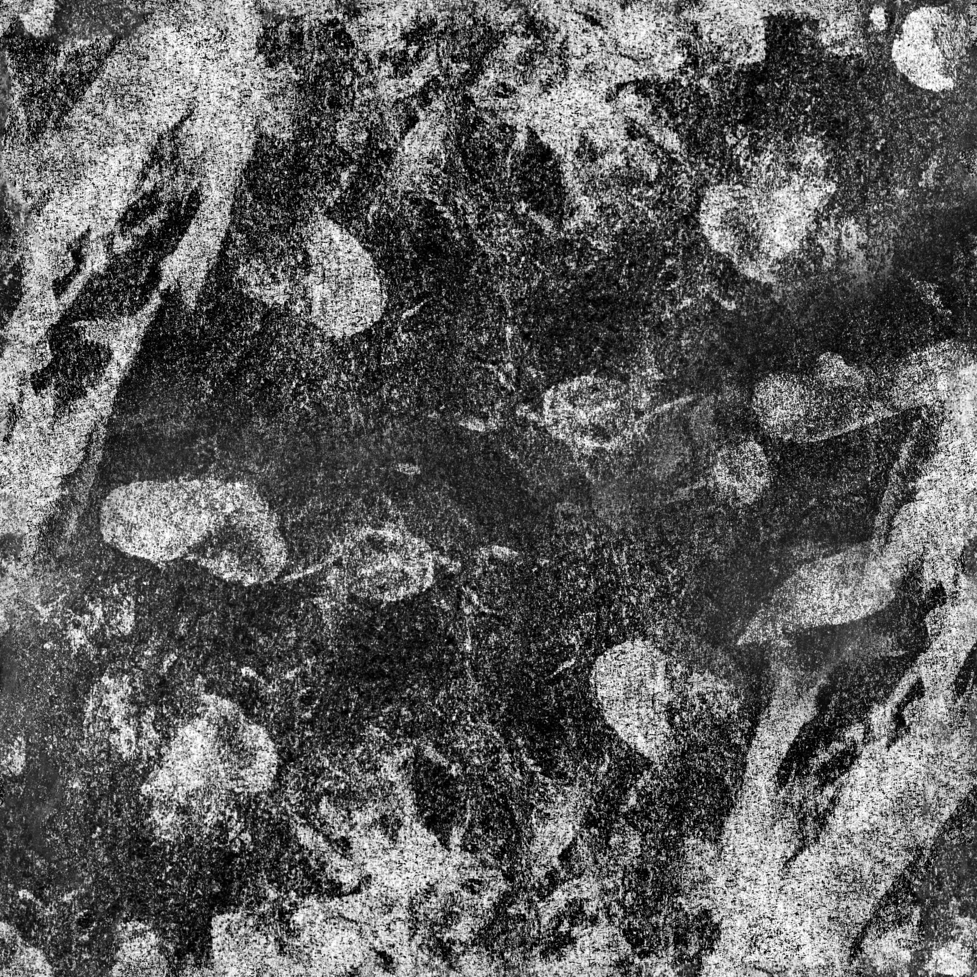 FINGERPRINT_hard_01_tiled_inv.jpg