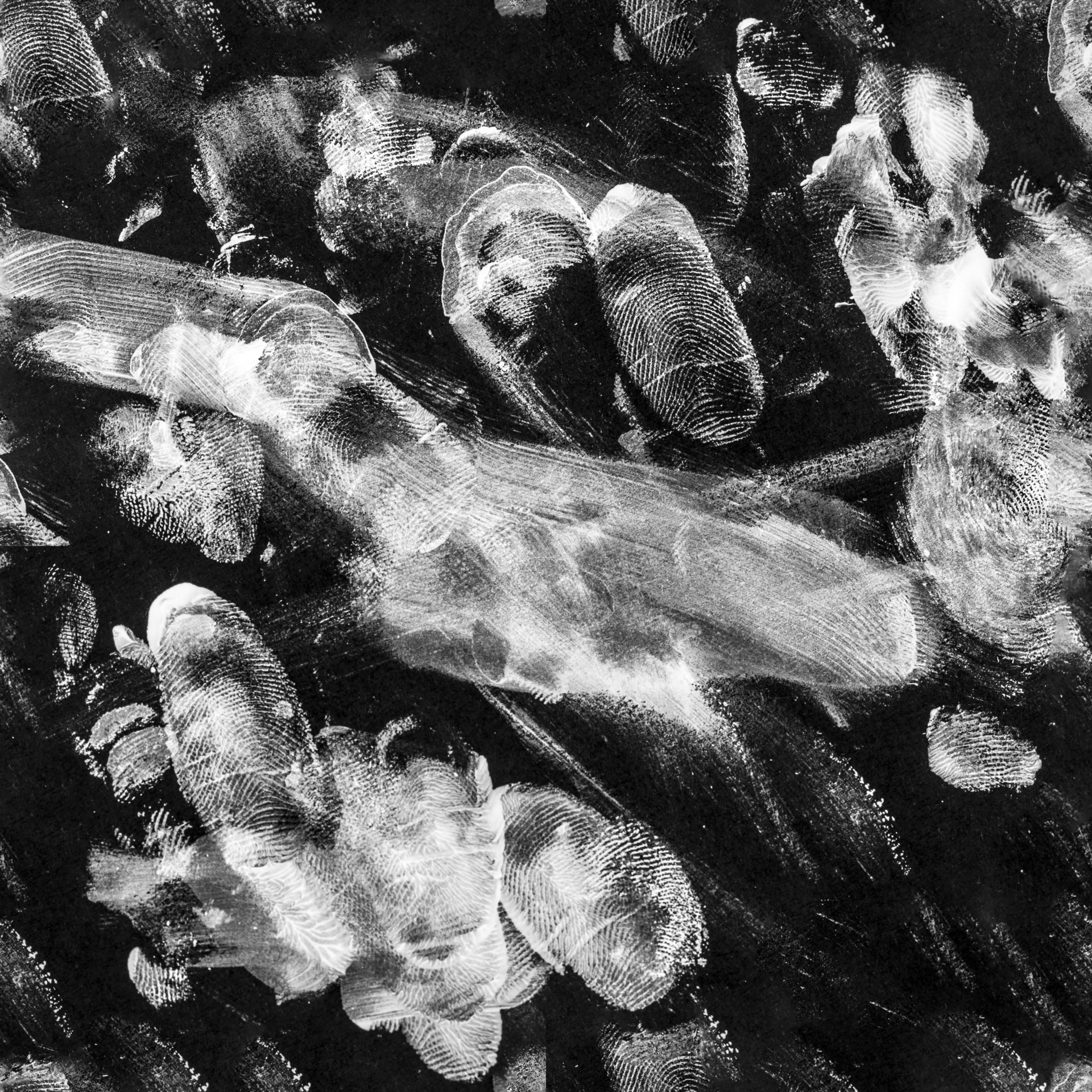 FINGERPRINT_medium_04_base_tiled_8b.jpg