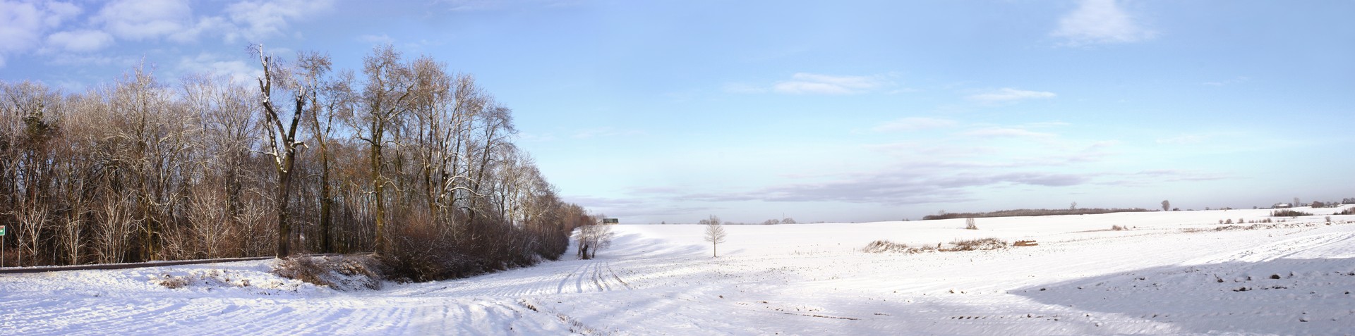 land09.jpg