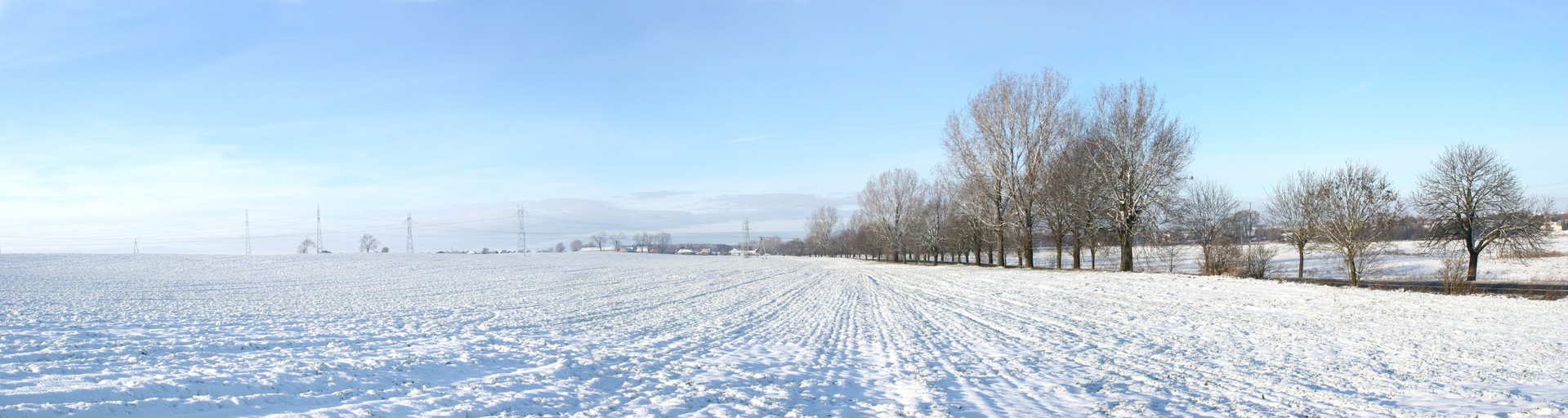 land12.jpg
