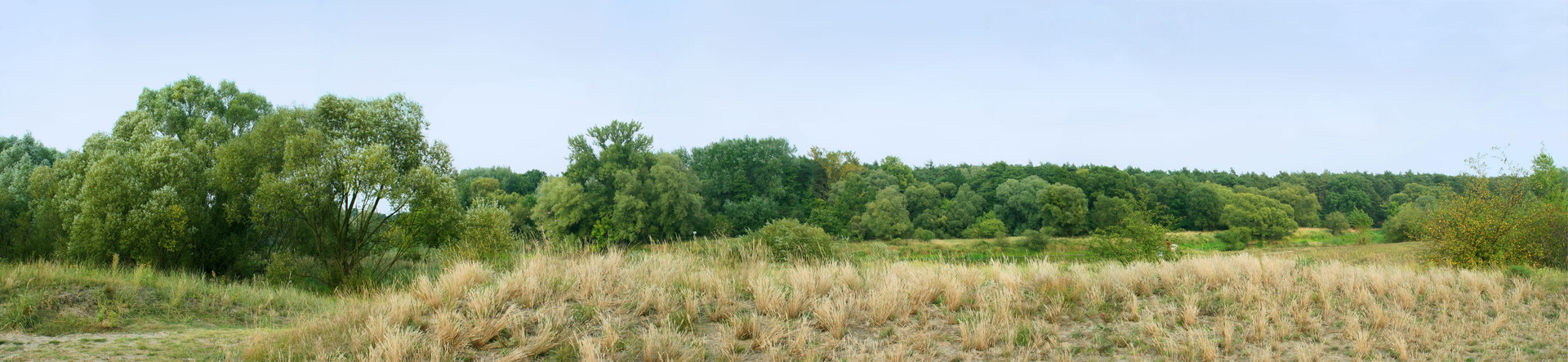 land12_ͼ.jpg