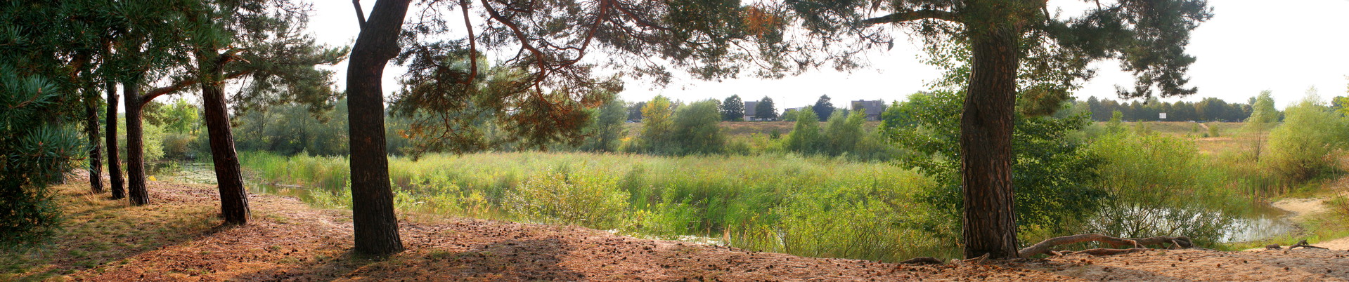 land13_ͼ.jpg