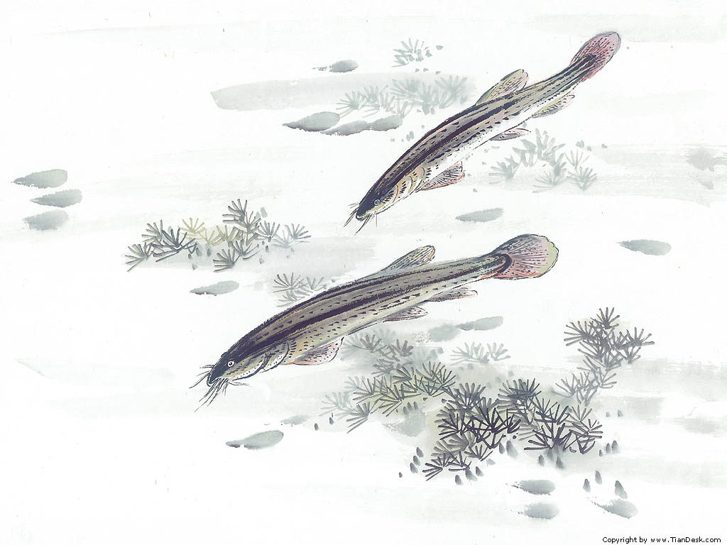 009.jpg
