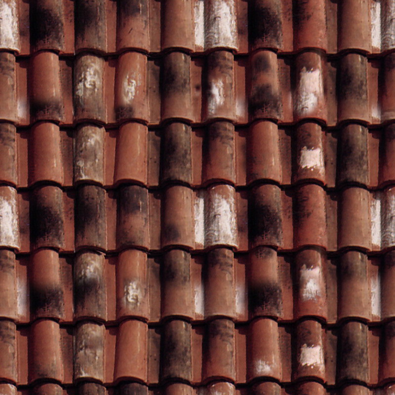p017.jpg