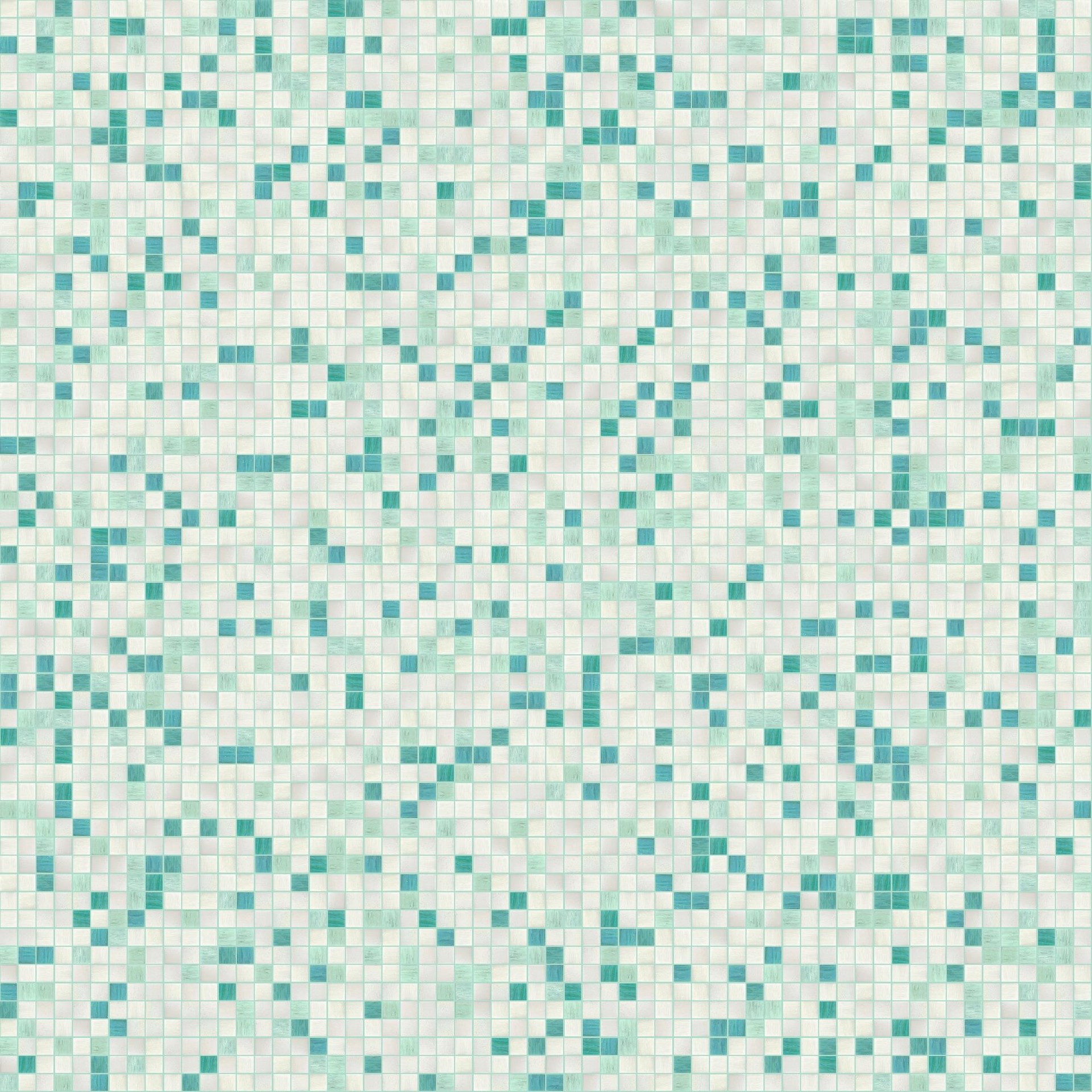 Begonia Mix1.jpg