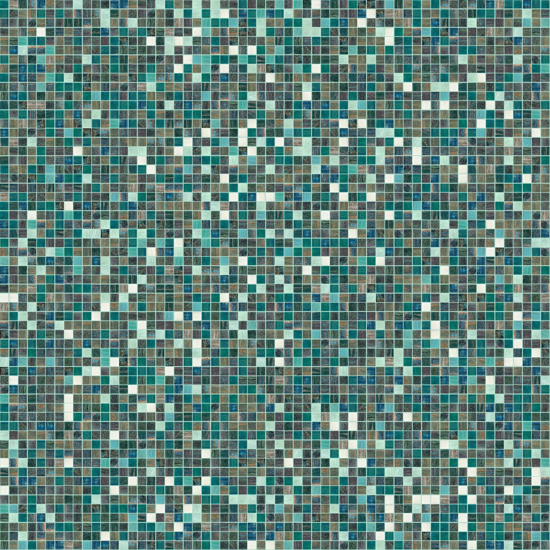 Begonia Mix8.jpg