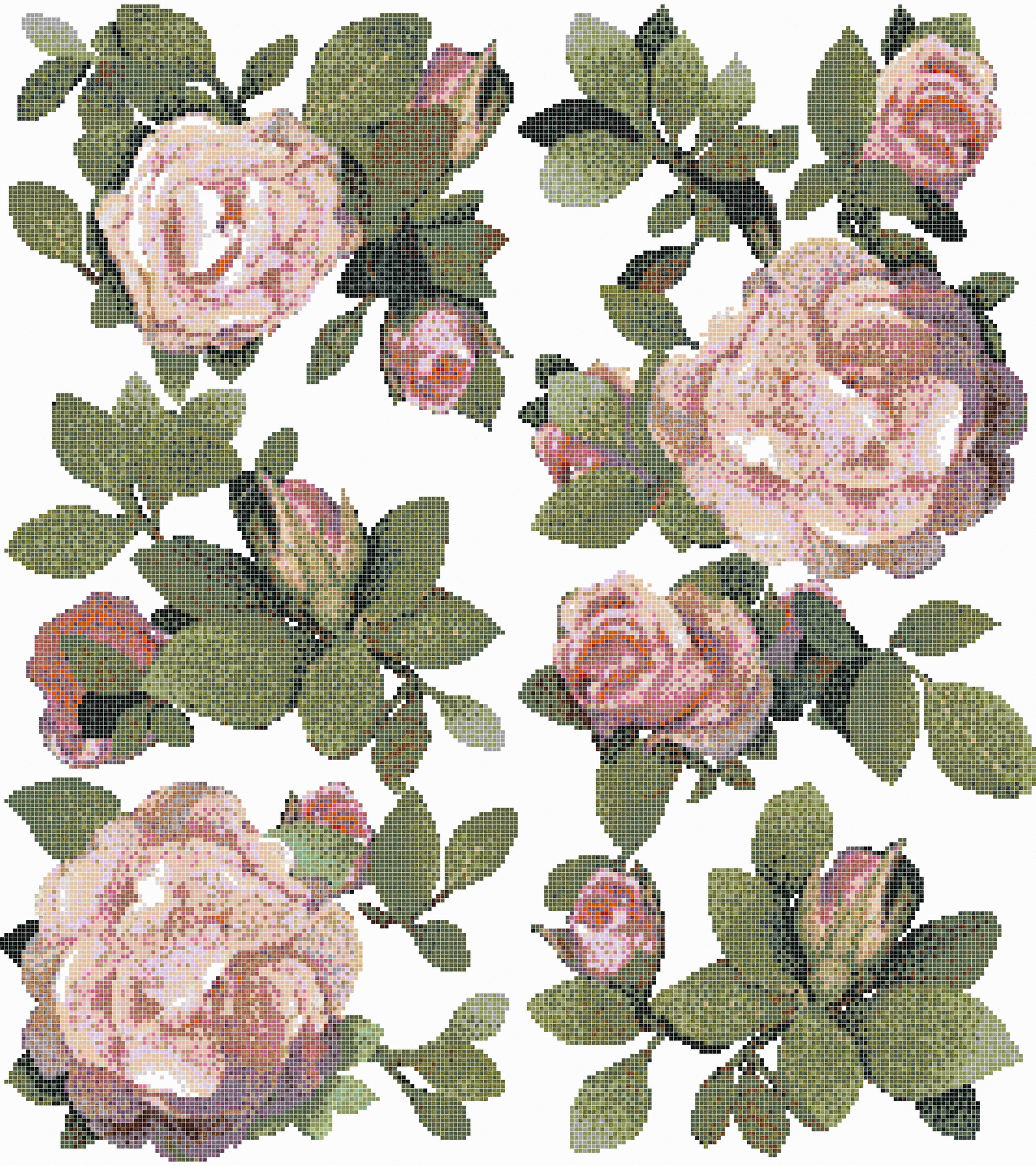 Springrose Bianco A+B_ͼ.jpg