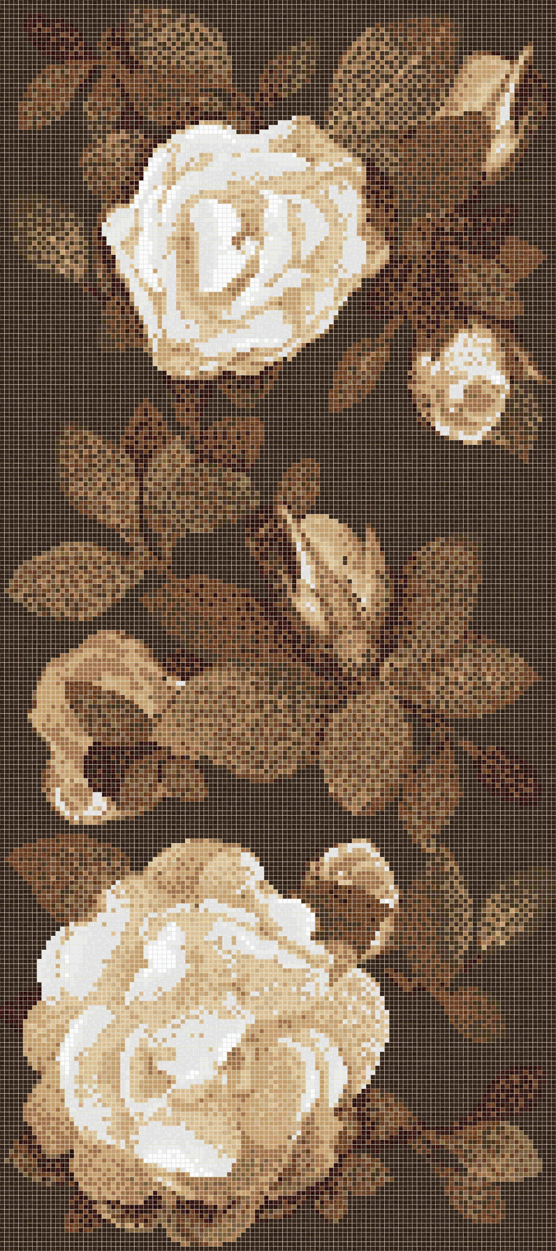Springrose Brown A_ͼ.jpg