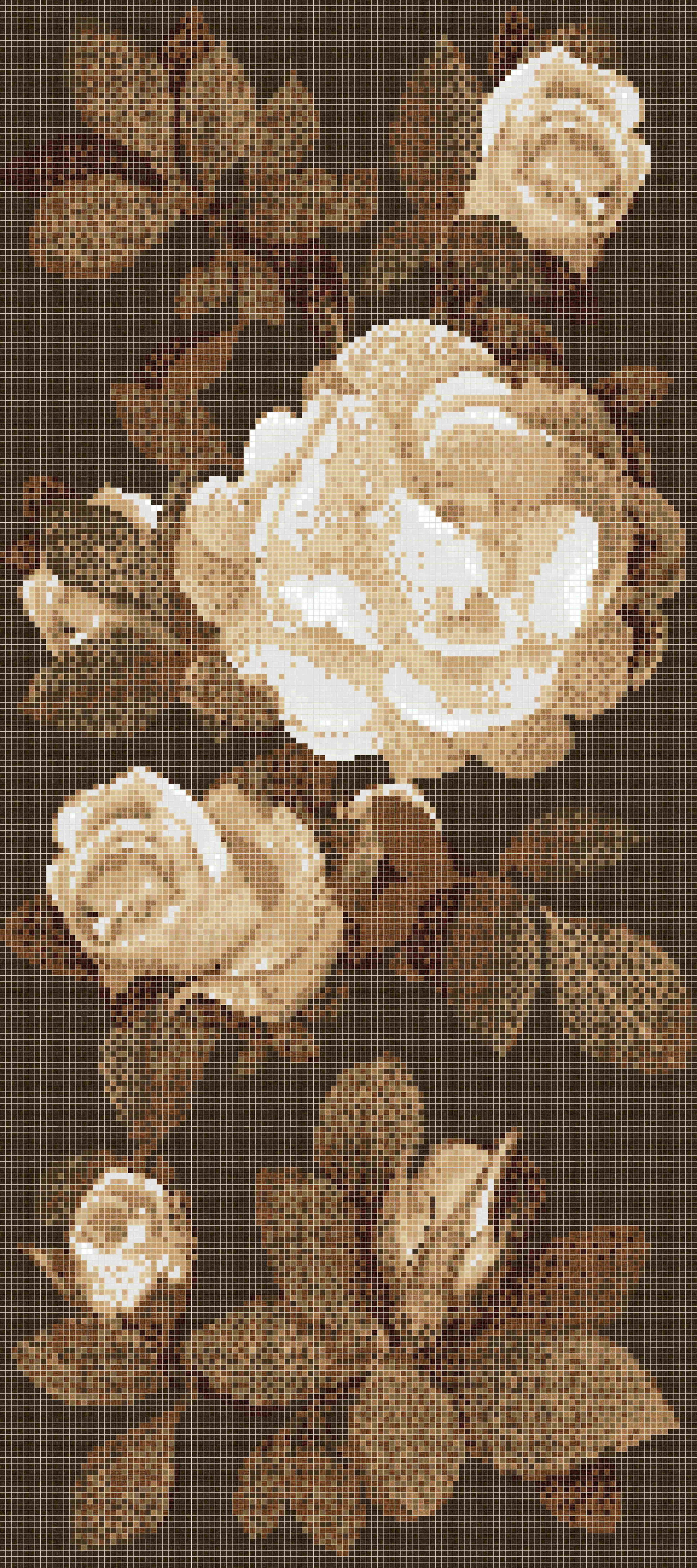 Springrose Brown B_ͼ.jpg