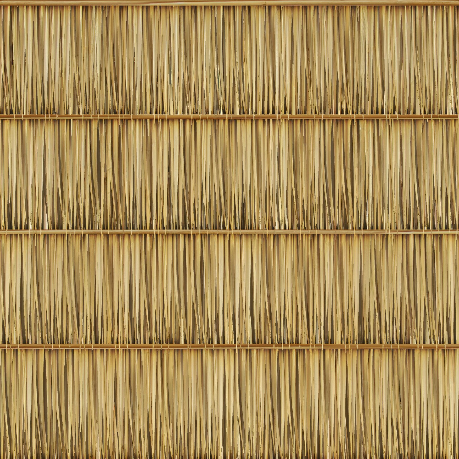 Roof_GrassHutAlpha_2k_d_1.jpg