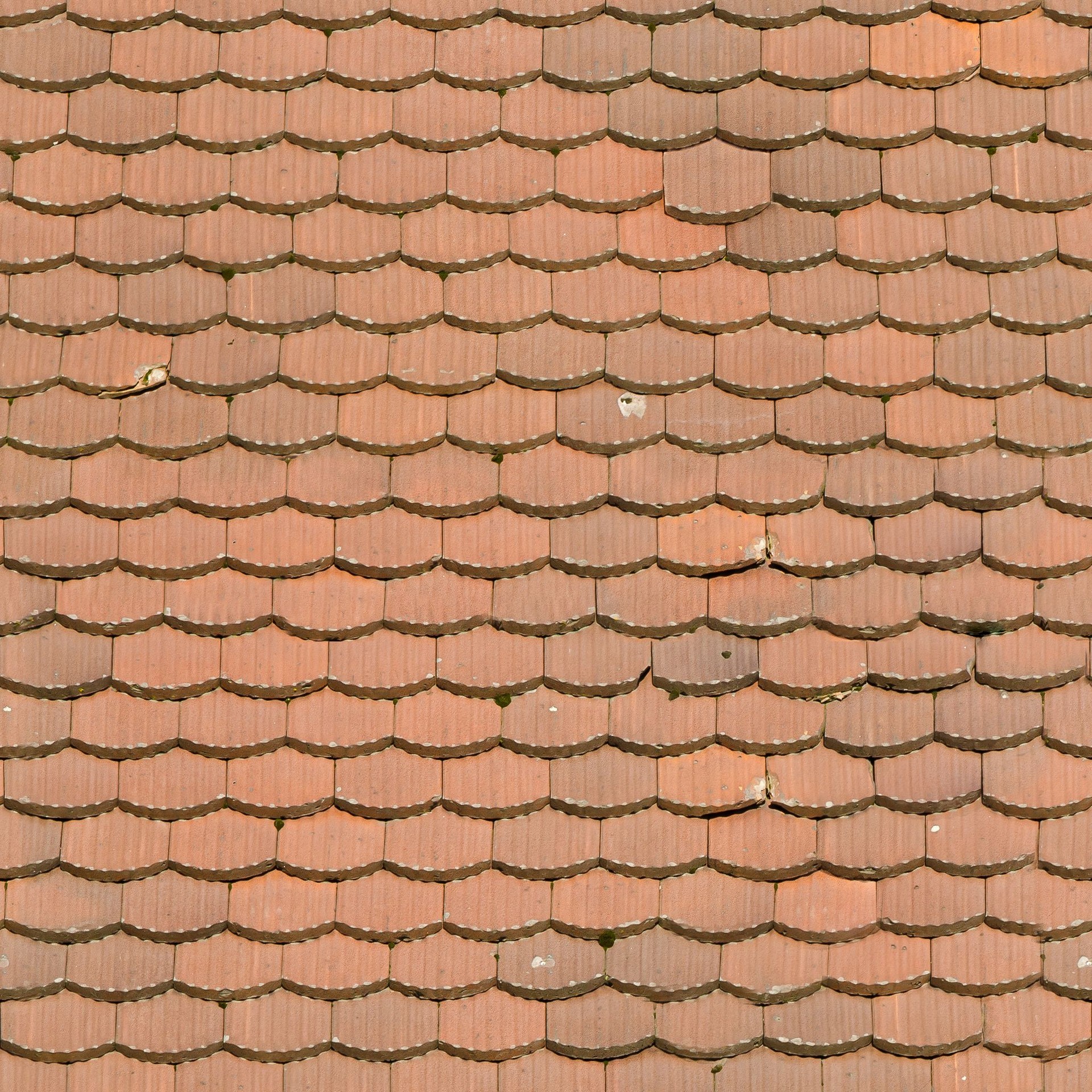 Roof_GroovedTile_2k_d_1.jpg
