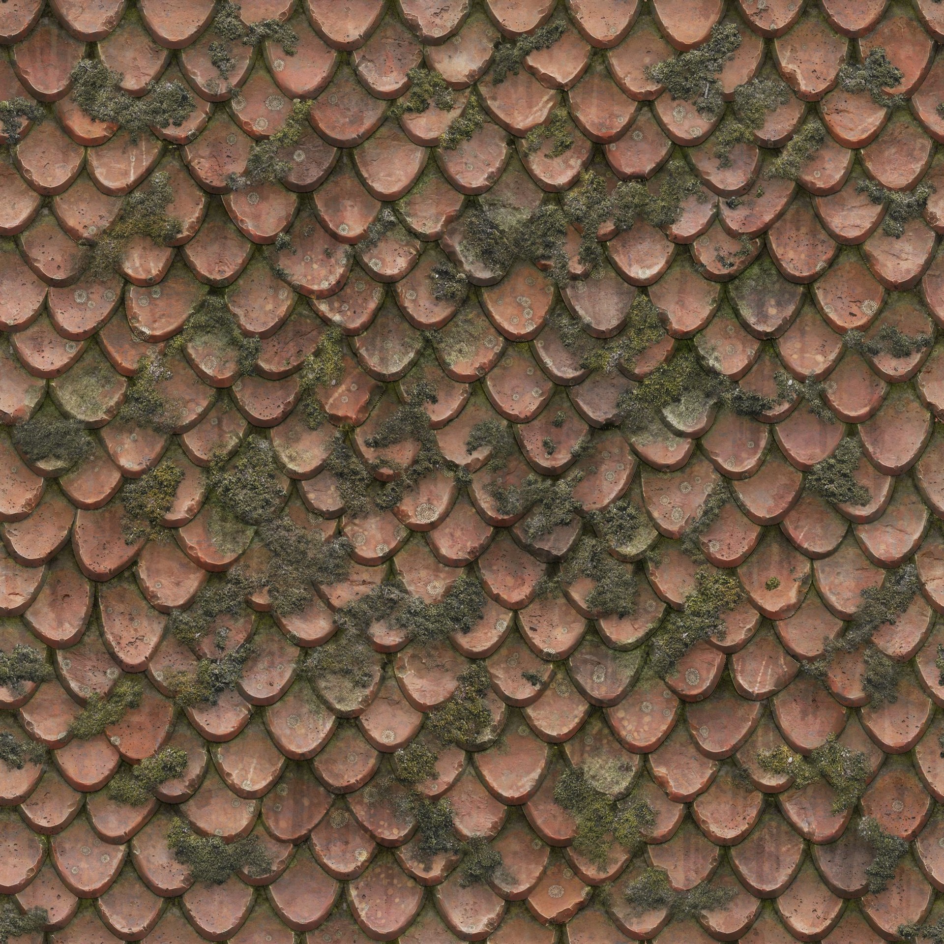 Roof_GuiRoundTilesMoss_2k_d_1.jpg