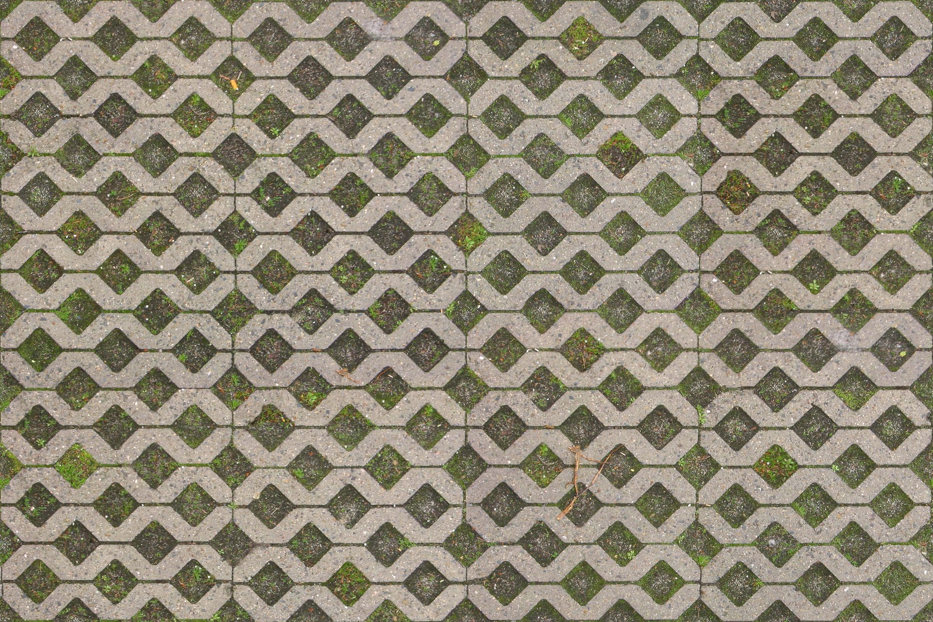 GrassPavers_01.jpg