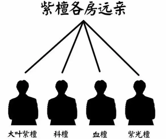 ΢Ž؈D_20190623003407.png
