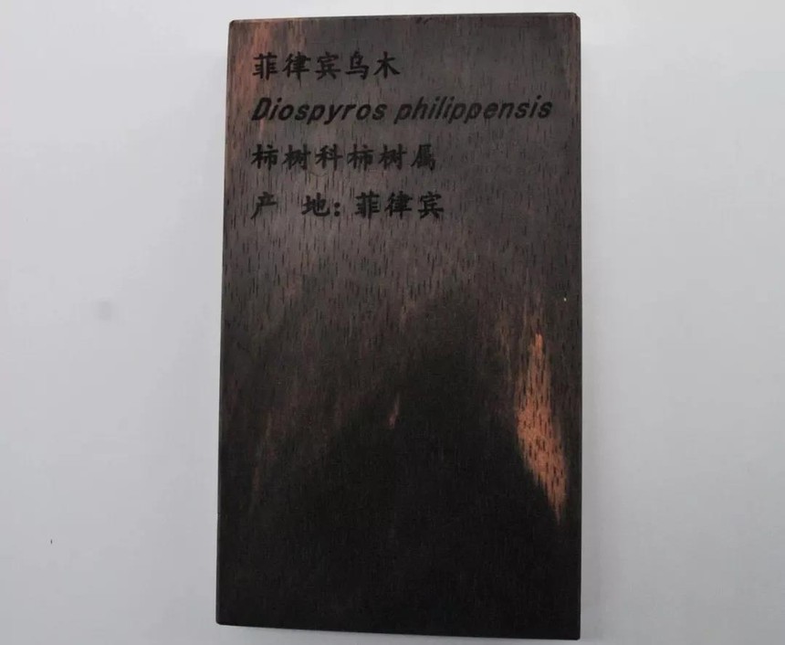 ΢ňDƬ_20190730125213.jpg