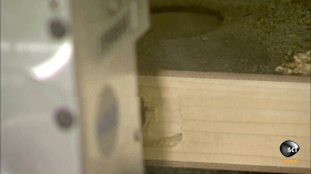 ΢ňDƬ_20190818113024.gif