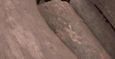 ΢ňDƬ_20190829095108.gif