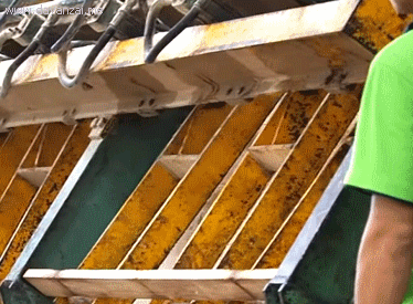 ΢ňDƬ_20191017102600.gif