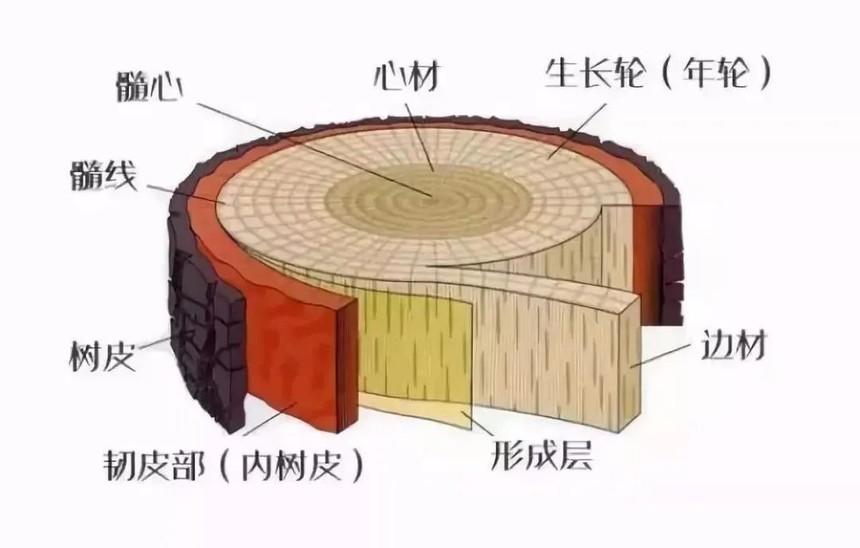 ΢ňDƬ_20200225154038.jpg