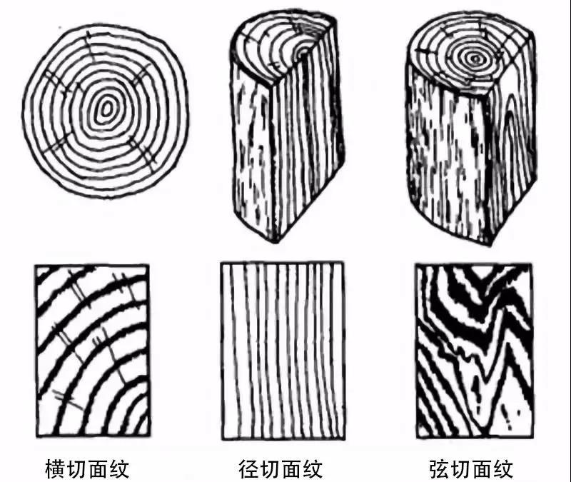 ΢ňDƬ_20200225154043.jpg