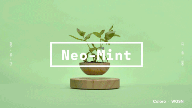 ΢ňDƬ_20200316233838.gif