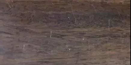 ΢ňDƬ_20200404220002.jpg