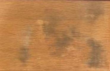 ΢ňDƬ_20200414000719.jpg