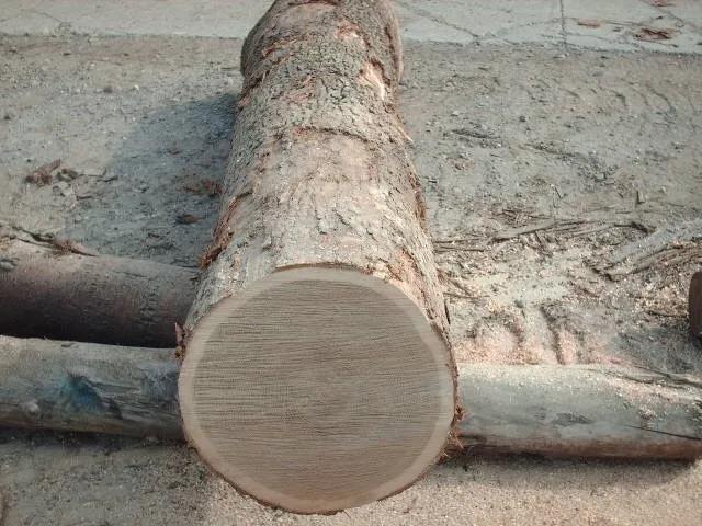 ΢ňDƬ_20200513223815.jpg