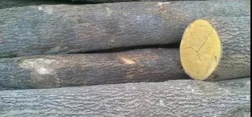 ΢ňDƬ_20200907225734.jpg