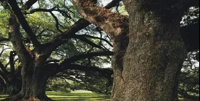 ΢ňDƬ_20200907225742.jpg