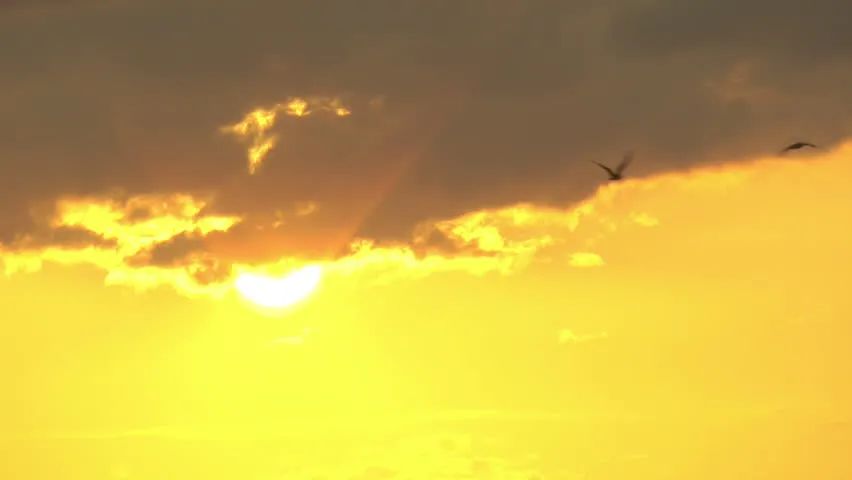 ΢ňDƬ_20201211111802.jpg
