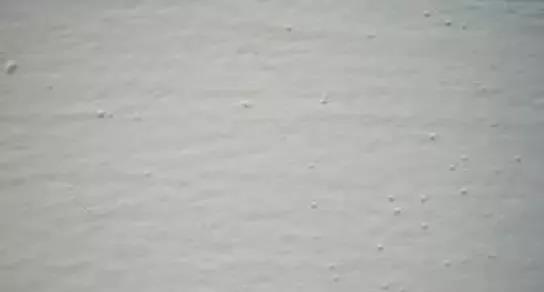 ΢ňDƬ_20210302123618.jpg