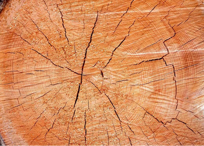 ΢ňDƬ_20210310190421.png