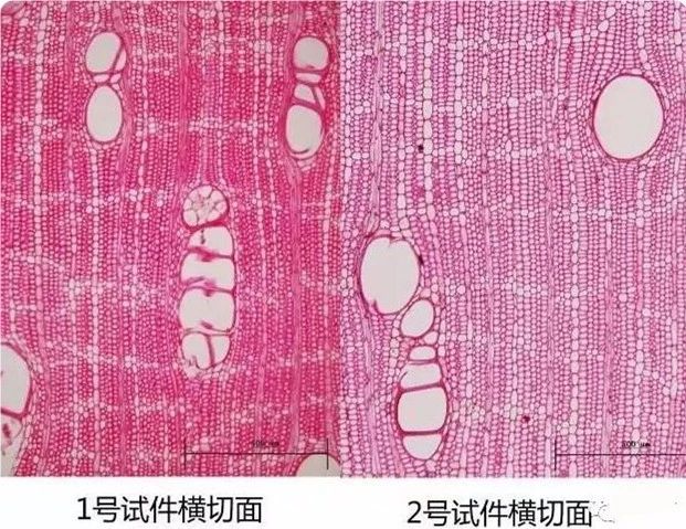 ΢ňDƬ_20210508220949.jpg