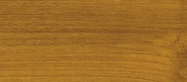 ΢ňDƬ_20210625110242.jpg