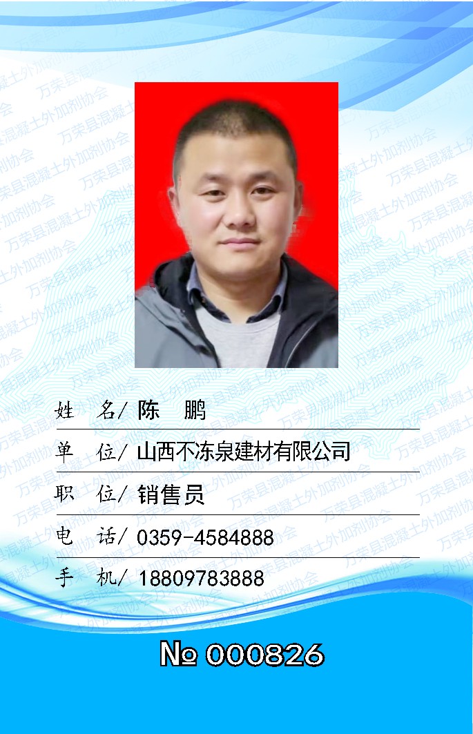 陈  鹏.jpg