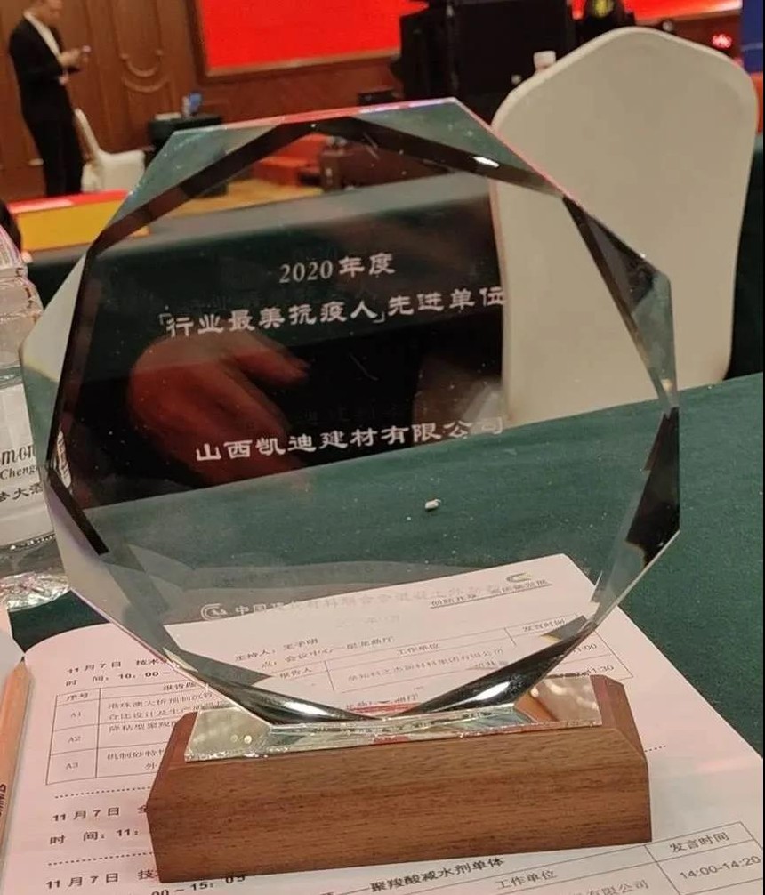 凯迪最美抗议人奖.jpg