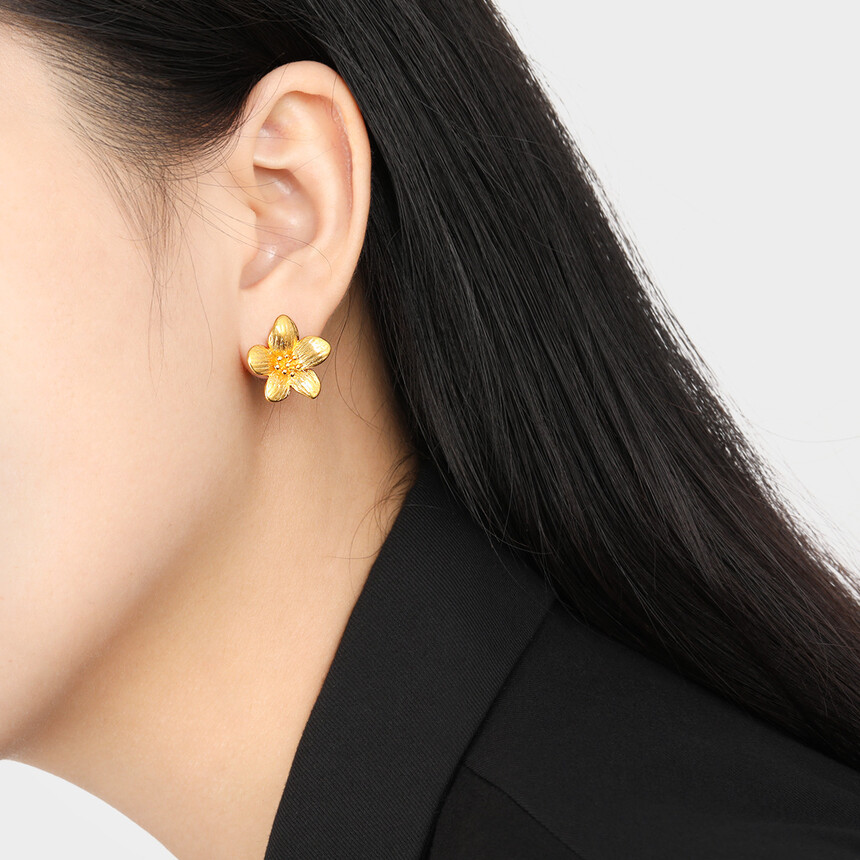 1762865552167732.jpg a535e1f161facaf3329c40650b45f054.jpg