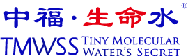 tmp1575172780_1555614_s.png