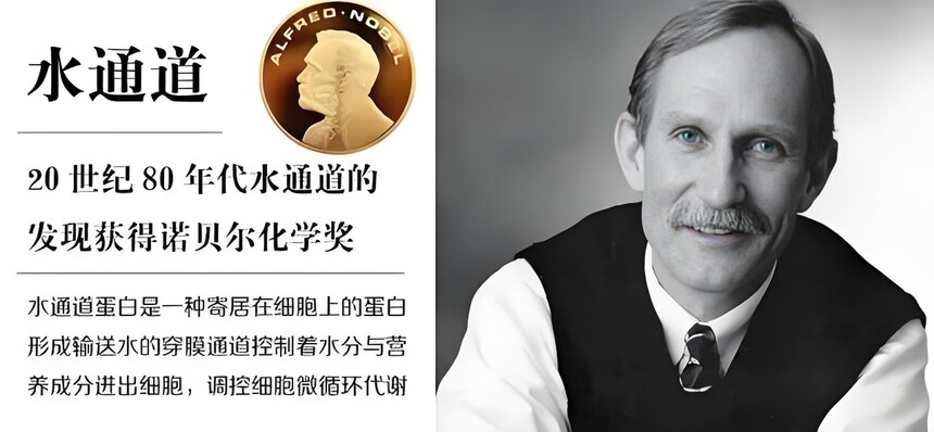 1774920989158215.jpeg 美国科学家彼得·阿格雷.jpeg