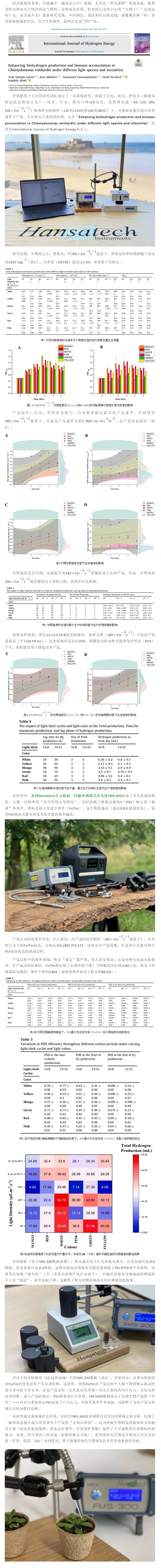 [ǰFMS-300]ͬĹV͹⏊lRae.jpg