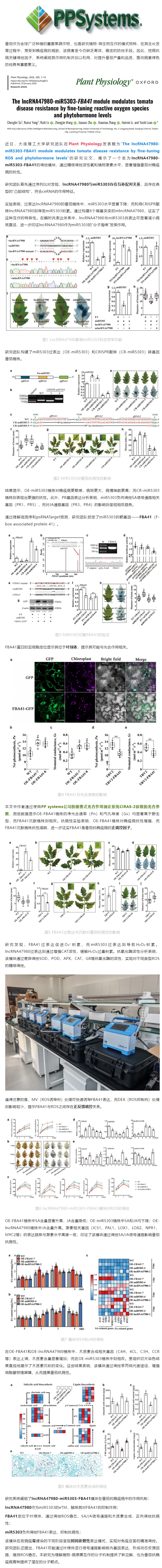 [����ǰ����CIRASϵ��]lncRNA47980-miR5303-FBA41ģ�K��ξ���(zh��n)�{(di��o)�ط���R.jpg