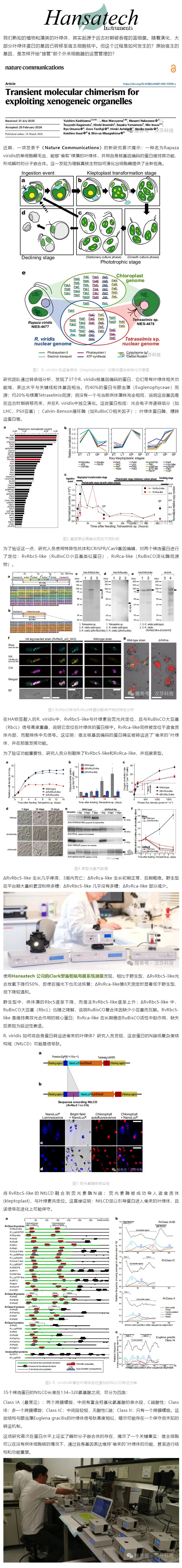 [����ǰ������늘O]˲�r����Ƕ���w��Rapaza viridis ������î�Դ�~�G�w�M�й������.jpg